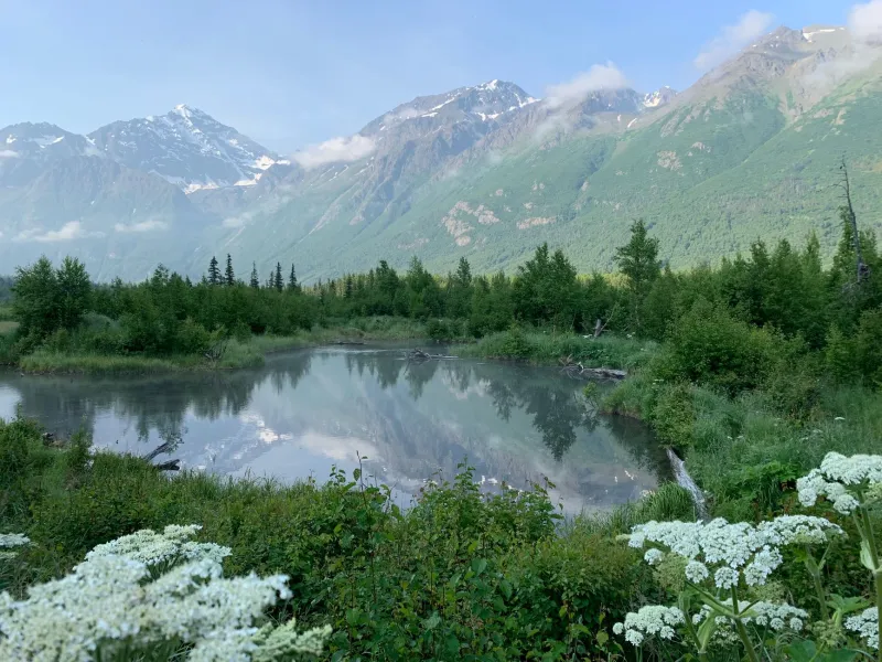 The Wilderness as Healer: How Alaska's Landscape Transforms the Therapeutic Journey